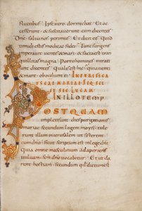 Iniziale decorata P