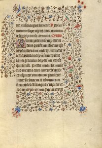 Pagina di testo decorata