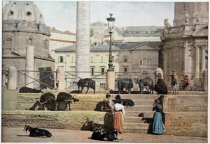 Antica Roma: veduta del Foro Romano. Italia, fine XIX secolo da Unknown photographer