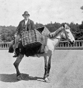 Irlandese sul suo cavallo (XIX secolo) da Unknown photographer