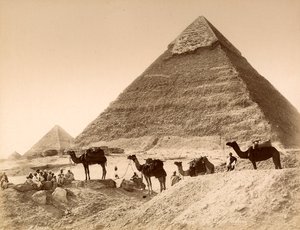 Uomini e cammelli davanti alla piramide di Chefren da Unknown photographer