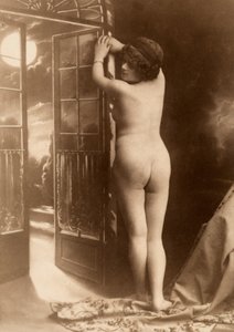 Ritratto nudo di una giovane donna vista da dietro