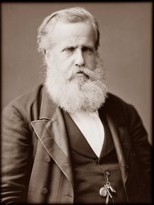 Ritratto di Dom Pedro II, imperatore del Brasile da Unknown photographer