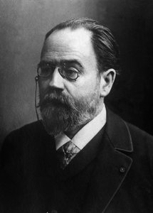 Ritratto di Emile Zola da Unknown photographer