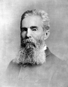 Ritratto di Herman Melville, romanziere americano da Unknown photographer