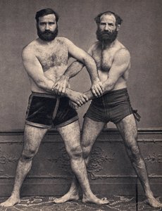 Ritratto dei fratelli di Marsiglia in lotta. Fotografia, fine XIX secolo, Parigi. Coll. Selva da Unknown photographer