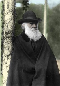 Ritratto fotografico di Charles Darwin, naturalista inglese nel 1881 da Unknown photographer