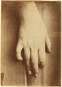 Studio di una mano, 1865 (foto)