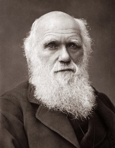 Il naturalista inglese Charles Robert Darwin (1809-1882)