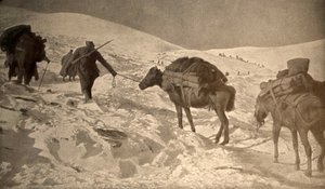 Le posizioni francesi e italiane hanno più di 2 metri di neve sul livello del mare. da Unknown photographer