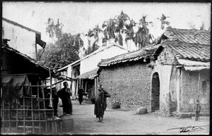 Villaggio di Tonkin c. 1890 da Unknown photographer