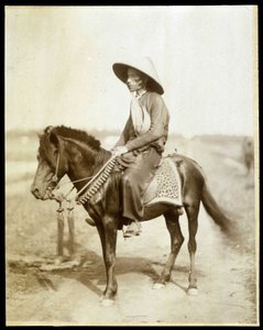 Cavaliere vietnamita, fine XIX secolo