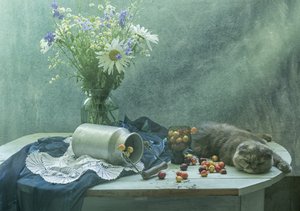 Gatto addormentato e ciliegie da UstinaGreen