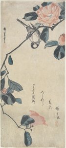 (Uccello su Camelia), inizio XIX secolo
