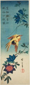 Rigogolo dal collare nero e clematide da Utagawa Hiroshige