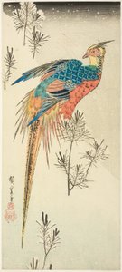 Un fagiano dorato appollaiato su un ripido pendio innevato tra piccoli pini da Utagawa Hiroshige