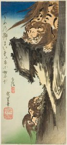 Un leone che addestra un cucciolo da Utagawa Hiroshige
