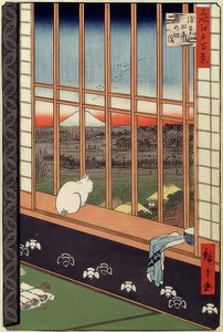 Campi di riso di Asakusa e festa di Torinomachi. Dalla serie: 100 famose vedute di Edo. 1861 da Utagawa Hiroshige