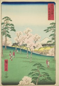 Collina di Asuka nella Capitale Orientale (Toto Asukayama), dalla serie "Trentasei vedute del Monte Fuji (Fuji sanjurokkei)"