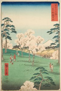 Collina di Asuka nella capitale orientale (Toto Asukayama), dalla serie "Trentasei vedute del Monte Fuji (Fuji sanjurokkei)"