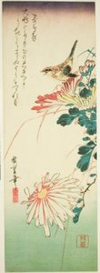 Uccello e crisantemi da Utagawa Hiroshige