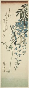 Uccello e glicine da Utagawa Hiroshige
