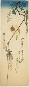 Uccello su glicine setoso da Utagawa Hiroshige