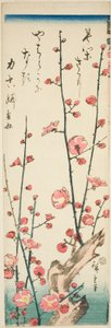 Rami di prugna in fiore da Utagawa Hiroshige