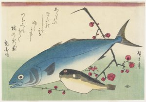Bonito, Pesce Palla e un Ramo di Prugna Fiorita, c. 1840 da Utagawa Hiroshige