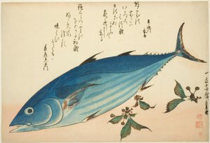 Bonito e sassifraga, da una serie senza titolo di pesci da Utagawa Hiroshige