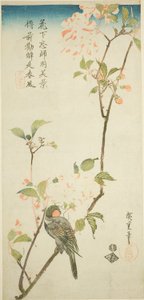 Cinciallegra su ramo di aronia da Utagawa Hiroshige