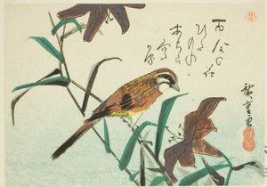 Zigolo e gigli da Utagawa Hiroshige
