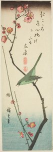 Usignolo su ramo di prugna da Utagawa Hiroshige