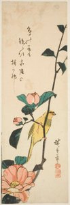 Canarino e camelie da Utagawa Hiroshige