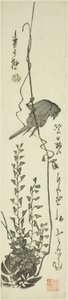Canarino e glicine da Utagawa Hiroshige