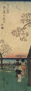 Visita ai ciliegi in fiore a Gotenyama, marzo 1852