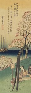Fiori di ciliegio su Gotenyama, primavera