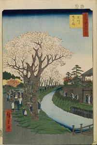 Fiori di ciliegio sulle rive del fiume Tama Cento famosi panorami di Edo da Utagawa Hiroshige