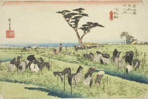 Chiryu: Mercato dei cavalli di inizio estate (Chiryu, shuka uma ichi), dalla serie "Le cinquantatré stazioni del Tokaido (Tokaido gojusan tsugi no uchi)", noto anche come Hoeido Tokaido da Utagawa Hiroshige
