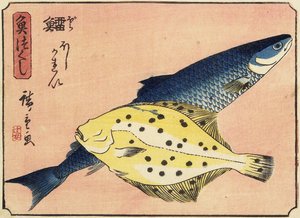 Merluzzo e halibut, 1830-1844