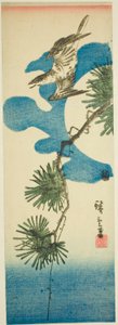 Cuculo, ramo di pino e luna piena da Utagawa Hiroshige