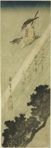 Cuculo che vola sotto la pioggia da Utagawa Hiroshige