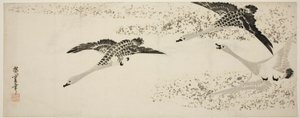 Oche in discesa da Utagawa Hiroshige