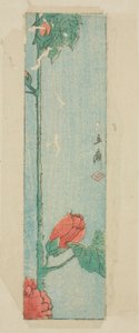 Busta con Ibisco da Utagawa Hiroshige