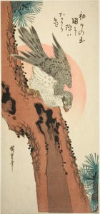 Falco su un pino con il sole nascente da Utagawa Hiroshige