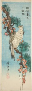 Falco su ramo di pino coperto di edera da Utagawa Hiroshige