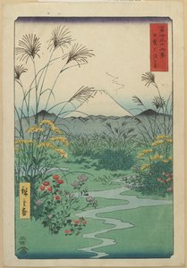 Campo a O_tsuki nella provincia di Kai, aprile 1858