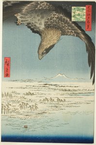 Fukagawa Susaki e Jumantsubo, dalla serie "Cento famosi vedute di Edo" da Utagawa Hiroshige
