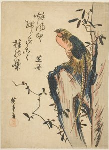 Fagiano dorato da Utagawa Hiroshige