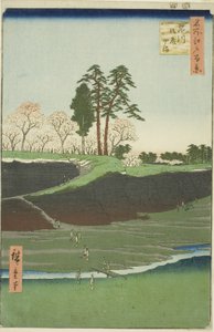 Collina di Goten a Shinagawa (Shinagawa Gotenyama), dalla serie "Cento vedute famose di Edo (Meisho Edo hyakkei)" da Utagawa Hiroshige